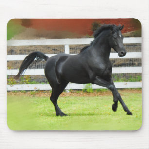 黒いアラビアの種馬 マウスパッド