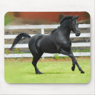 黒いアラビアの種馬 マウスパッド