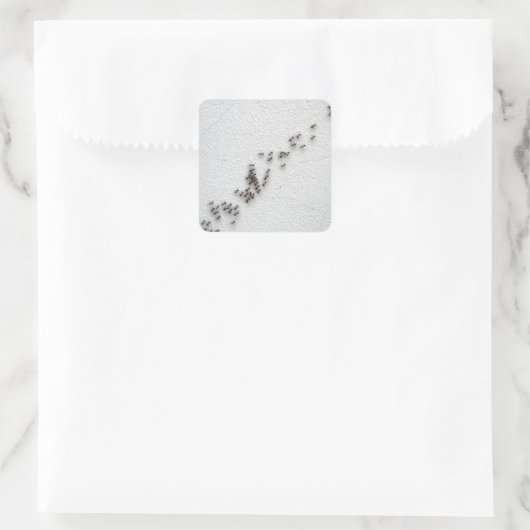 黒いアリ後を追は鎖で繋がっている スクエアシール (バッグ)