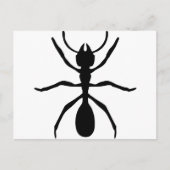 黒いアリ ポストカード (正面)