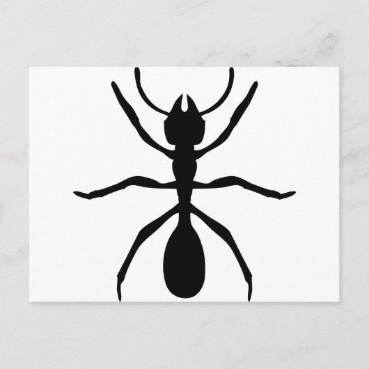 黒いアリ ポストカード (正面)