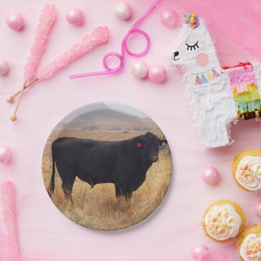 黒いアンガスの牛が牛群と放牧 ペーパープレート (パーティー)