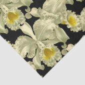 黒いエレガント背景に白い蘭の模様 薄葉紙 (詳細)