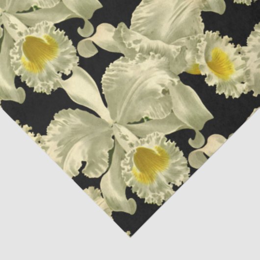 黒いエレガント背景に白い蘭の模様 薄葉紙 (詳細)