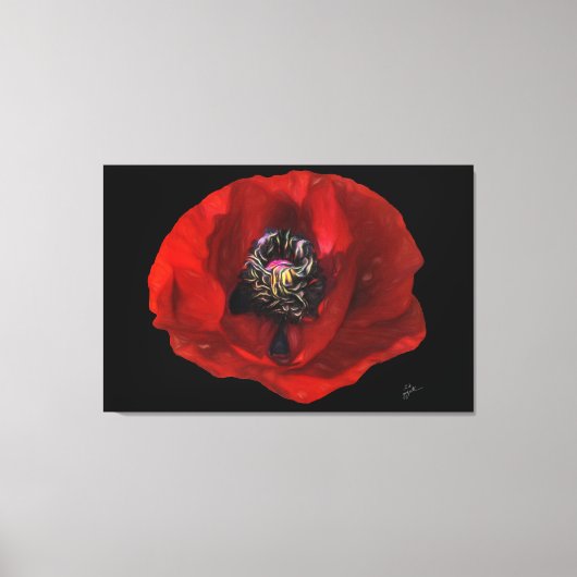 黒いエレガント背景に赤いポピーの花 キャンバスプリント (正面)