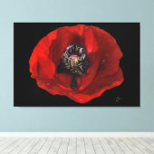 黒いエレガント背景に赤いポピーの花 キャンバスプリント (インサイチュ (ウッドフロア))