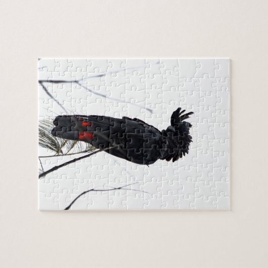 黒いオウムクイーンズランドオーストラリア ジグソーパズル (横)