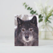 黒いオオカミのはがき ポストカード (スタンド正面)
