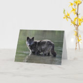 黒いオオカミの挨拶状 カード (黄色い花)