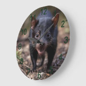 黒いオーストラリアの若いタスマン風の悪魔 ラージ壁時計 (傾斜)