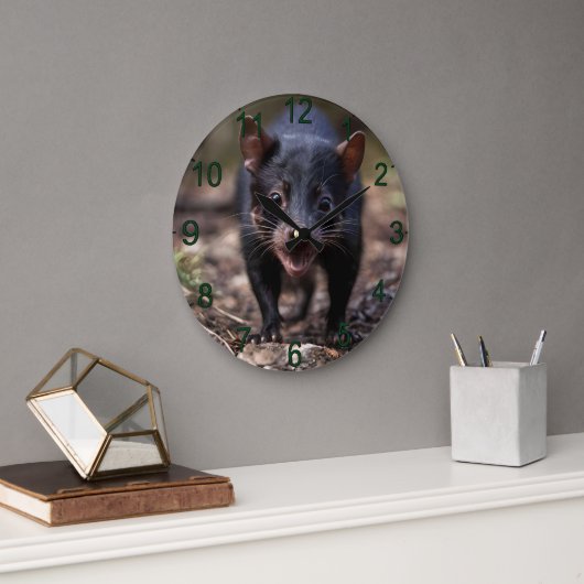 黒いオーストラリアの若いタスマン風の悪魔 ラージ壁時計 (オフィス)