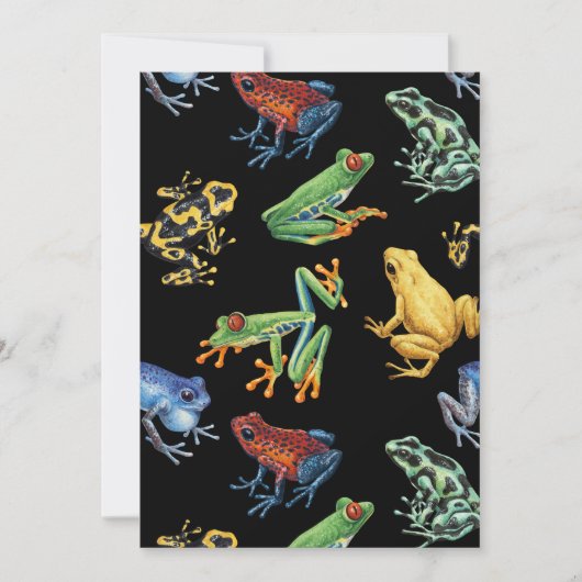 黒いカエル (正面)