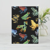 黒いカエル (スタンド正面)