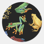 黒いカエル ラウンドシール (正面)