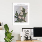 黒いカタツムラオット;黒いコホシ ポスター (ホームオフィス)