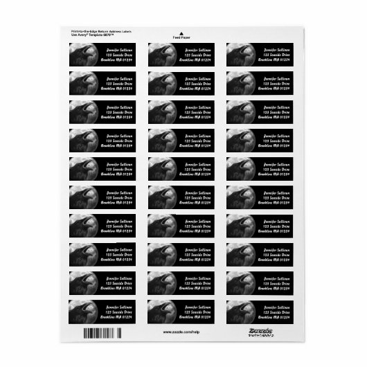 黒いカラスの満月ハロウィンゴシックの鳥の戻り ラベル (フルシート)