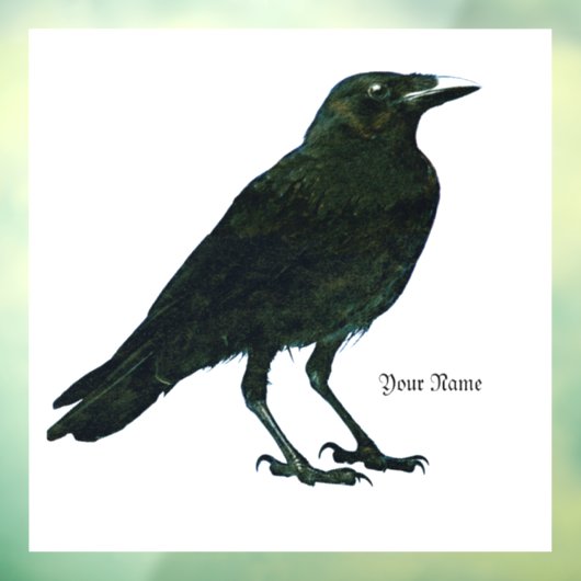 黒いカラス ウィンドウサイン (シート3)