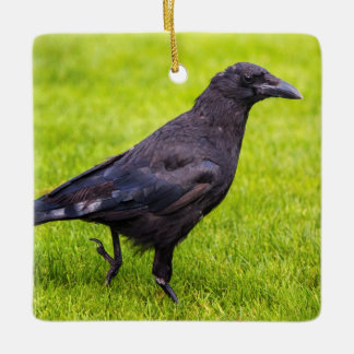 黒いカラス セラミックオーナメント