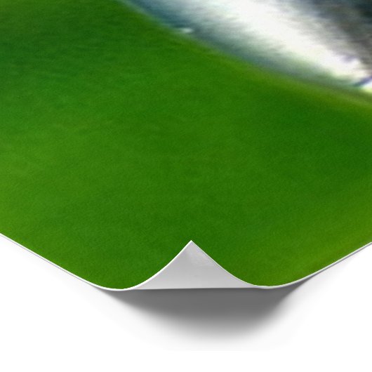 黒いカラス ポスター (角)