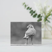 黒いカラス ポストカード (スタンド正面)