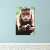 黒いキャップのカプチンモンキーのクローズアップ キャンバスプリント (インサイチュ (ウッドフロア))