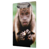 黒いキャップのカプチンモンキーのクローズアップ クリップボード (左)