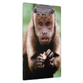 黒いキャップのカプチンモンキーのクローズアップ クリップボード (右)