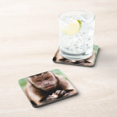 黒いキャップのカプチンモンキーのクローズアップ コースター (右側)