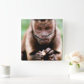 黒いキャップのカプチンモンキーのクローズアップ スクエア壁時計 (ホーム)