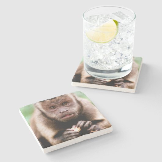 黒いキャップのカプチンモンキーのクローズアップ ストーンコースター (横)