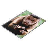 黒いキャップのカプチンモンキーのクローズアップ ノートブック (左側)