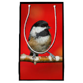 黒いキャップの《鳥》アメリカゴガラの秋の赤の背景 スモールペーパーバッグ (正面)