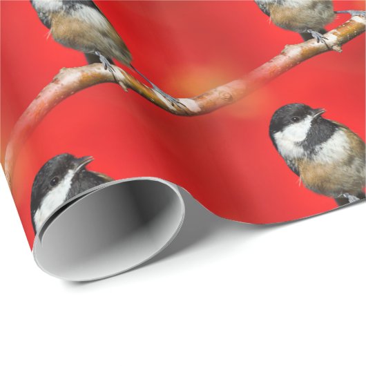 黒いキャップの《鳥》アメリカゴガラの秋の赤の背景 ラッピングペーパー (ロールコーナー)