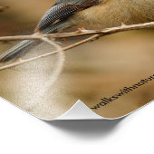 黒いキャップの《鳥》アメリカゴガラの輪郭 フォトプリント (角)