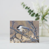 黒いキャップの《鳥》アメリカゴガラはがき ポストカード (スタンド正面)