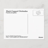 黒いキャップの《鳥》アメリカゴガラはがき ポストカード (裏面)