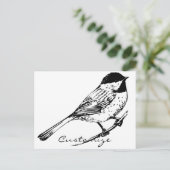 黒いキャップの《鳥》アメリカゴガラサンダー_コーブ ポストカード (スタンド正面)