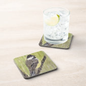 黒いキャップの《鳥》アメリカゴガラバード – ア絵画クリル製。 コースター (右側)