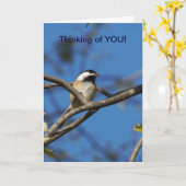 黒いキャップの《鳥》アメリカゴガラ考えの皆 カード (黄色い花)