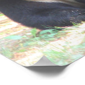 黒いクマと白いハート入れ ポスター (角)