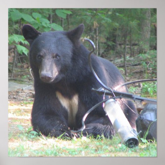 黒いクマと白いハート入れ ポスター (正面)