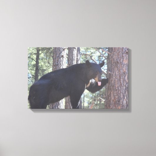 黒いクマのキャンバスのプリント キャンバスプリント (正面)