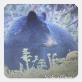 黒いクマの幻影 スクエアシール