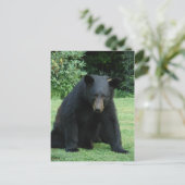 黒いクマ – 「キュービー聞は私だ！」 ポストカード (スタンド正面)
