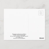 黒いクマ – 「キュービー聞は私だ！」 ポストカード (裏面)