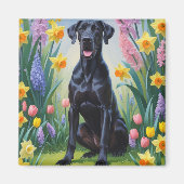 黒いグレートデーンの犬の春の花の絵 マグネット (正面)