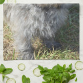 黒いケアーン・テリア キッチンタオル (折り畳み)