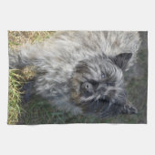 黒いケアーン・テリア キッチンタオル (横)