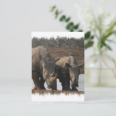 黒いサイのはがき ポストカード (スタンド正面)