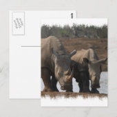 黒いサイのはがき ポストカード (正面/裏面)